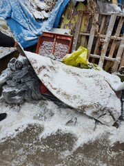 carpet with snow