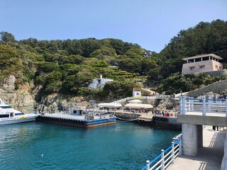 boats in the harbor