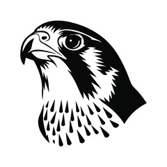 Simple Design of Peregrine Falcon Head Vector