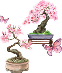 Sakura, Cherry blossom, Pink Sakura bonsai, watercolor painting hand-drawn illustration.