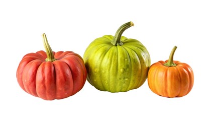 Obraz premium tomato and cucumber