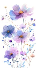 neat watercolor illustration of Cosmos on white background. 