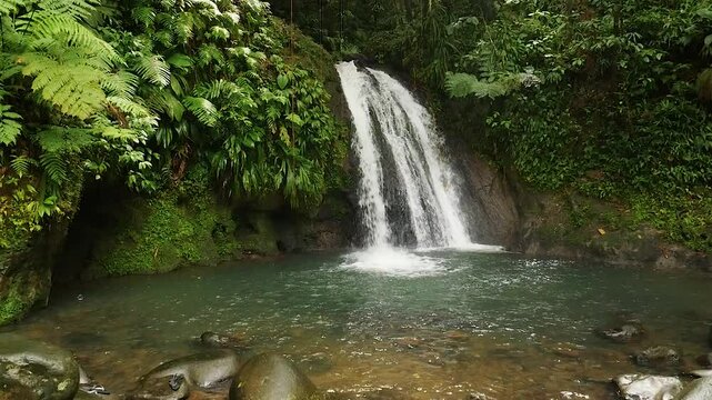 View of the waterfall with stones in a tropical forest in Guadeloupe slow motion