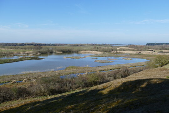 Le parc du Marquenterre est une r&eacute;serve ornithologique