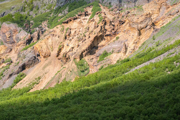 Rocks and green plants on the hillside