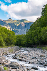 Stream scenery in the valley forest