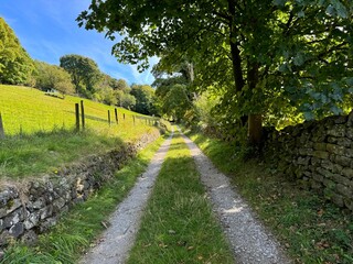 A narrow dirt path lined with green grass and stone walls winds through a lush countryside. Tall trees create a canopy above, casting dappled sunlight on the road near, Sutton-in-Craven, UK