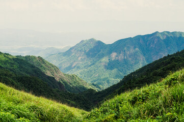 The mountainous scenery of Wu-kung Mountains in southern China in summer.
