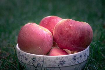 apples in a bowl