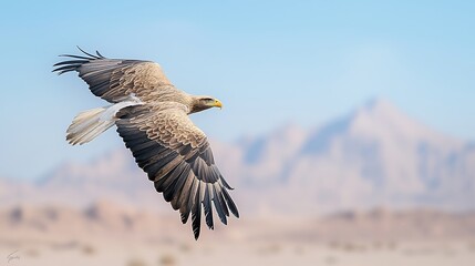 A striking visual of a majestic eagle soaring against a backdrop of a clear blue sky, with distant mountains softly blurred. The eagle is wings are outstretched, and the image captures a sense of