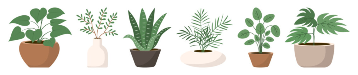 Set of six different types of indoor plants with leaves in ceramic pots. Flat style. Vector illustration.