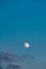 The Moon and Planes in the Twilight Sky