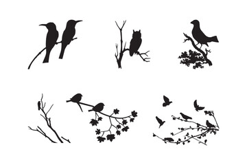 Silhouettes of Birds in Flight and Perch.