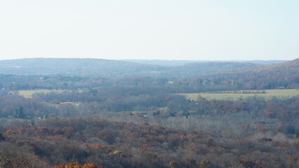 The colorful forest view in the natural park in autumn