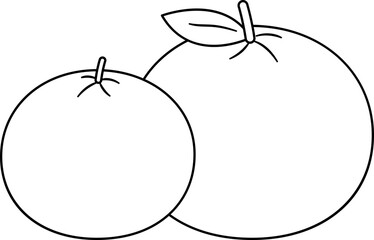 Whole orange with leaves outline vector.