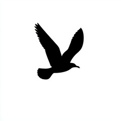 Silhouette of a Gull Flying Over the Sea
