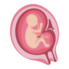 Baby in womb of pregnant woman5mouth