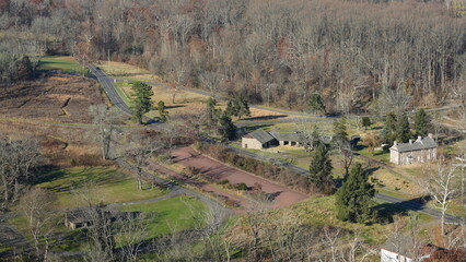 The colorful forest view in the natural park in autumn
