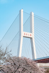 Nanpu Bridge in Shanghai, China