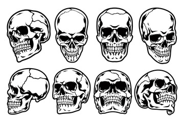 set of skulls vector anatomy in different angles