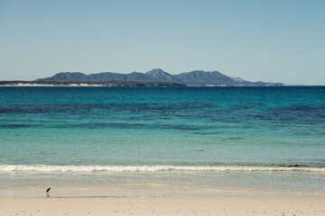 Ocean view towards towards mountains in National Park