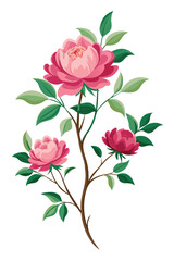 Fototapeta premium Peony Branch with Beautiful Flowers Vector Illustration on White Background