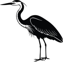 Heron Vector Illustration with White Background - Elegant Bird Design