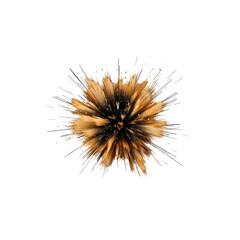 Abstract explosion with golden particles transparent background