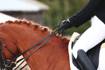 Portrait of a horse during a performance at equestrian competitions. Rider landing and horse control
