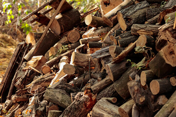 Close-up of sawn firewood stacked in a pile