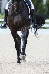 impulsion of dressage. Vertical photo. Pas de Deux and passage on dressage.