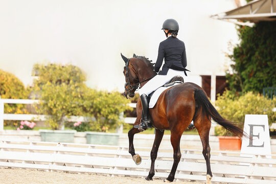 Influence with body, legs and hands of the rider on the horse. Shooting from the back