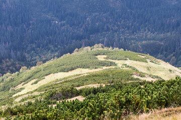 A walk in the Tatra Landscape Park. 