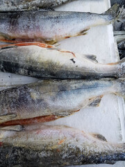 Frozen carcasses of red fish lie on ice on the counter of the fish market, top view, close-up, vertical