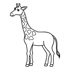 giraffe vector illustration