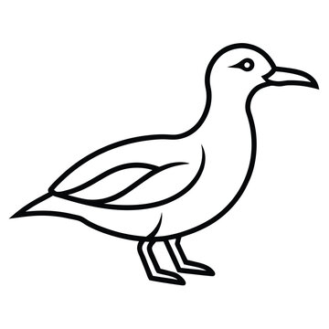recommend clip art: Seagull bird silhouette line art on white background, vector illustration