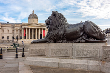 Trafalgar square lion at Nelson column with National Gallery at background, London, UK