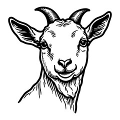Fototapeta premium Cute Baby Goat Head Illustration in Detailed Black and White Retro Hand Drawn Style