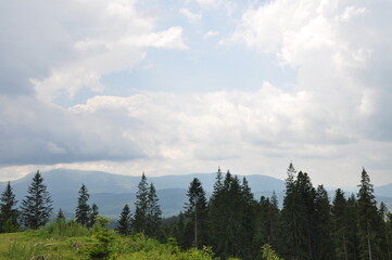 Ukrainian Carpathians landscape with mountains trees and clouds