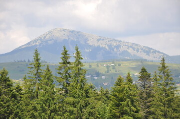 Ukrainian Carpathians landscape with mountains trees and clouds