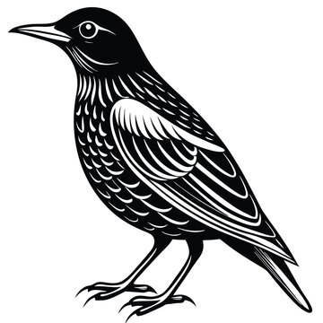 recommend clip art: Starling bird design vector illustration logo design concept template, symbols icons