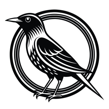 recommend clip art: Starling bird design vector illustration logo design concept template, symbols icons
