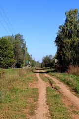 A dirt road through the middle of a semi-abandoned village.