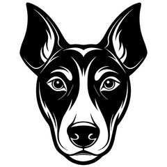 head of a dog on white background 