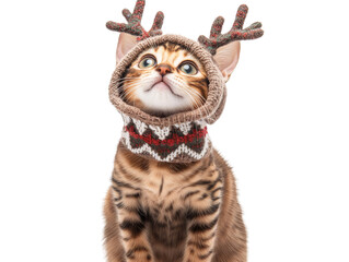 Cute Bengal kitten wearing a knitted hat with decorative reindeer antlers and a cozy Christmas...