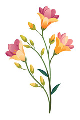 Freesia Branch With Flowers Vector Illustration On White Background High Quality Floral Design