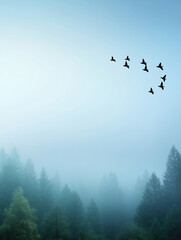 Foggy forest sky with birds fly