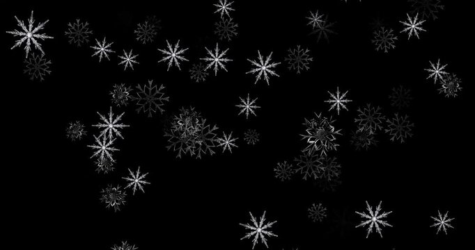 Close up Snowflake falling rain on black background 4 k animation footage