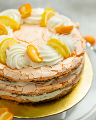 Delicious meringue cake decorated with citrus fruit and whipped cream being displayed on gold plate