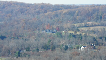 The colorful forest view in the natural park in autumn